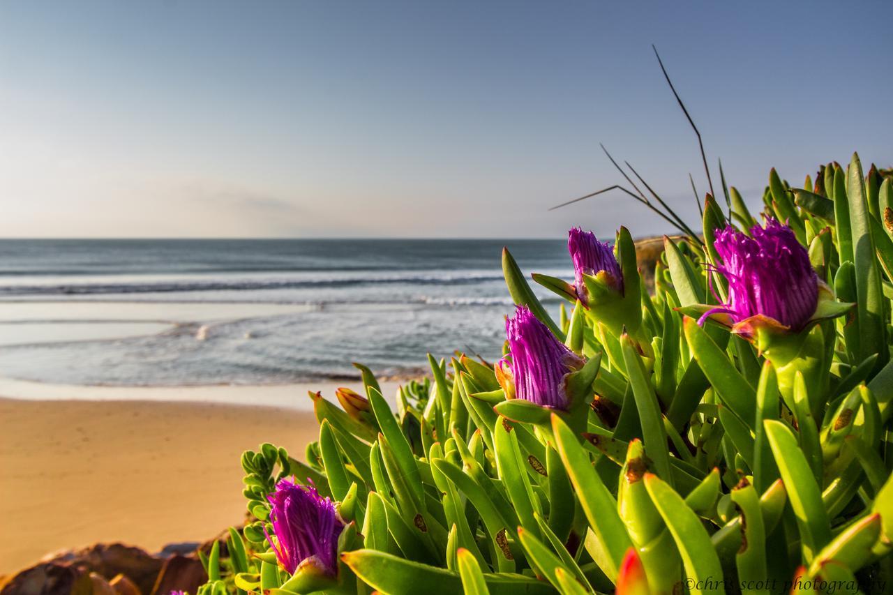 Milkwood Country Cottage St Francis Bay Bagian luar foto